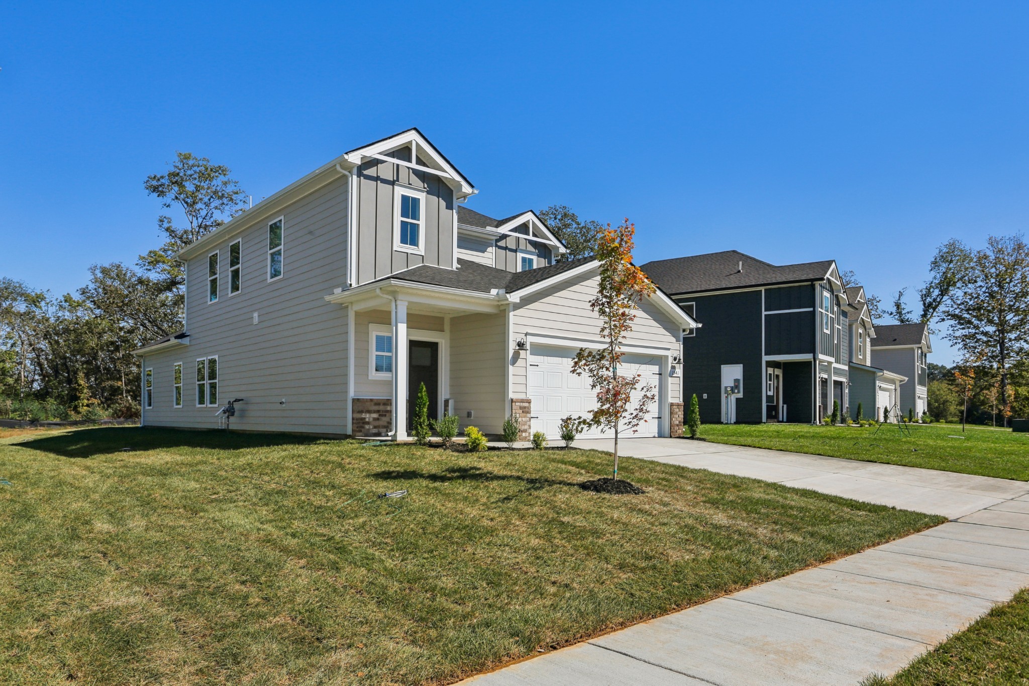 1541 Bear Branch Trce