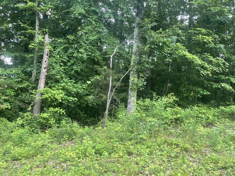 0 Simmons Rd Ashland City TN 37015