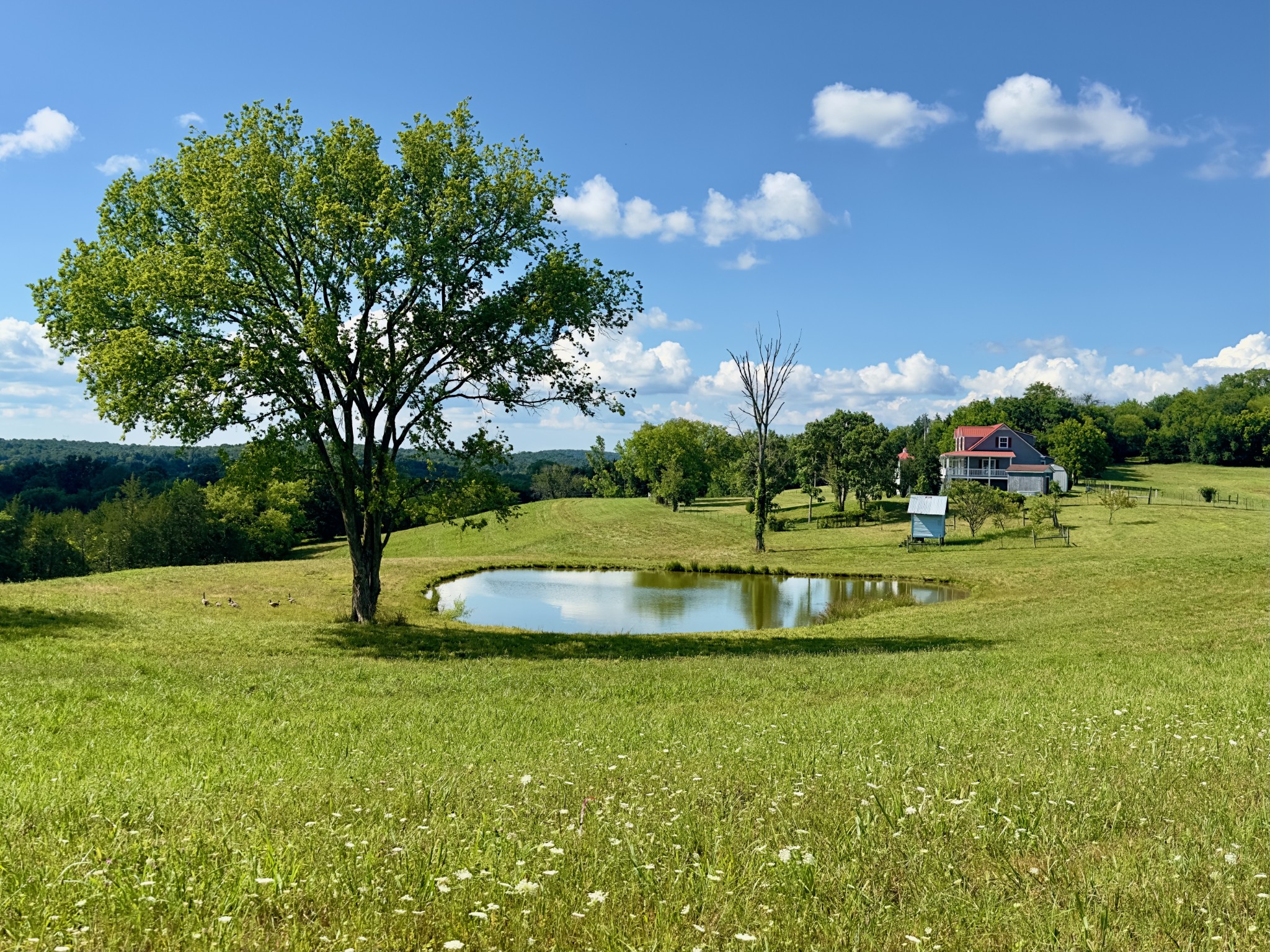 View Watertown, TN 37184 house