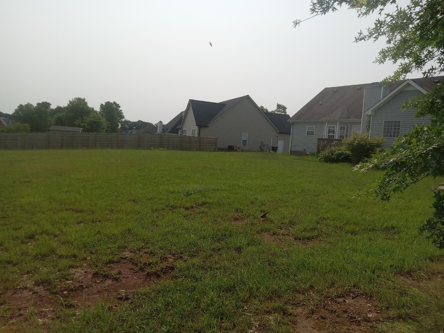 795 Vera Dr