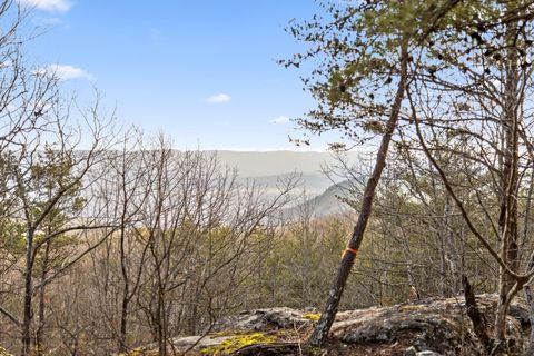 0 Brockdell Road Pikeville TN 37367