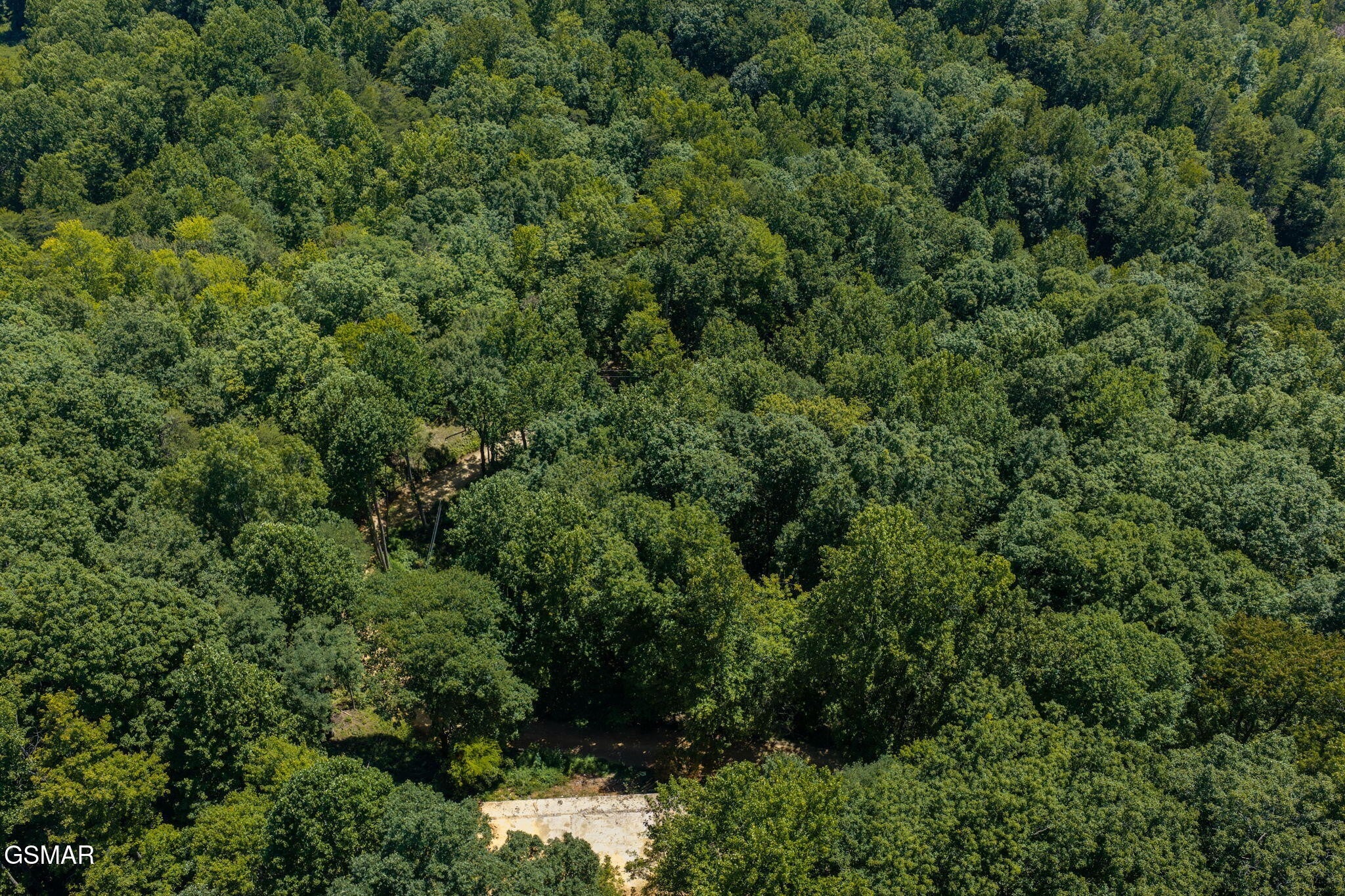 2239 Grassy Branch Road