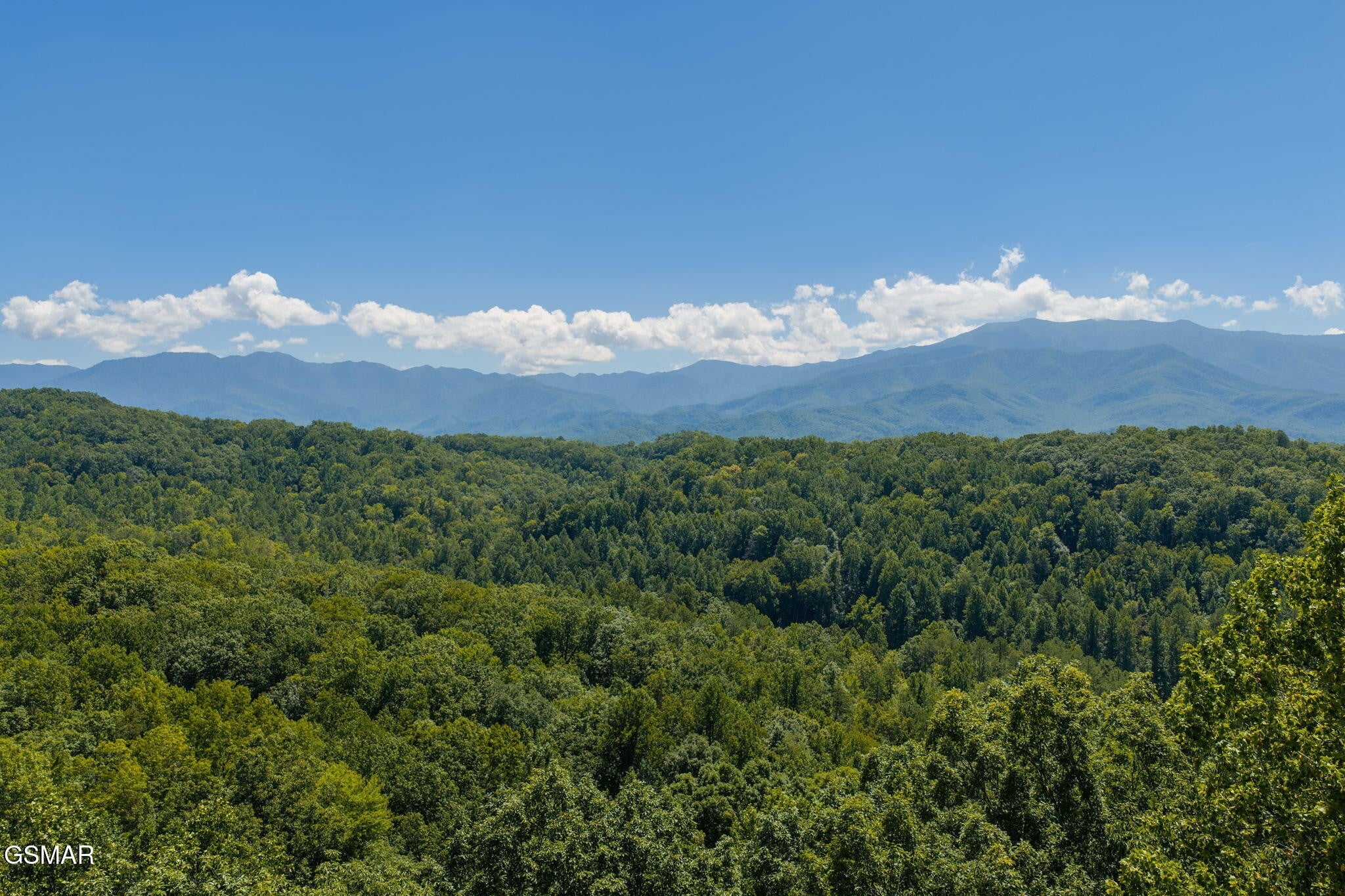 2239 Grassy Branch Road