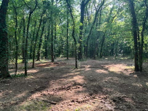 0 Old South Rd
