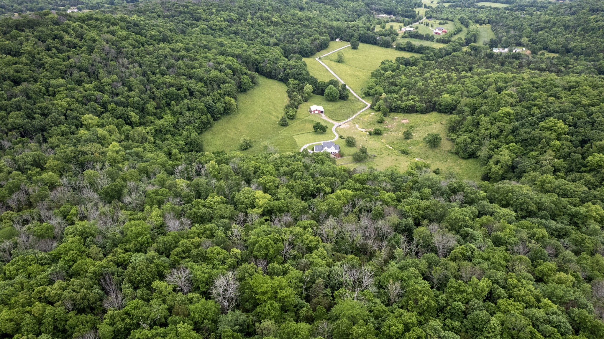 1036 Reed Hollow Rd