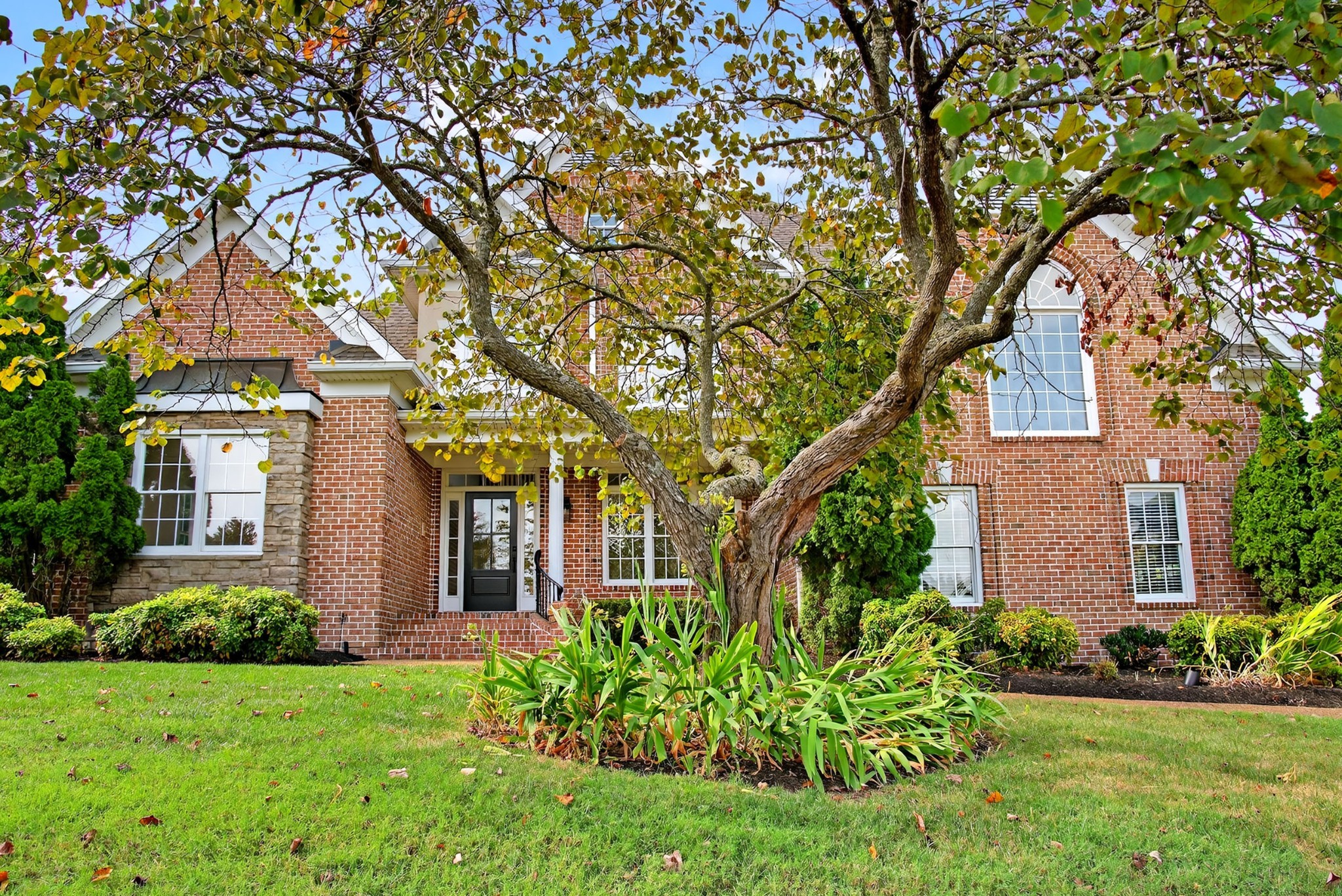 1196 Joseph Acklen Ct