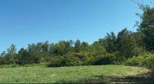 3941 BAGGETT RD, SPRINGFIELD, TN 37172 - Image 08bfd371cbc45de4fc1675a40e0d810f/3818079261
