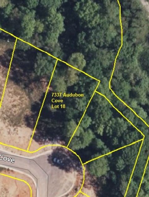 7337 Audubon Cv Fairview TN 37062