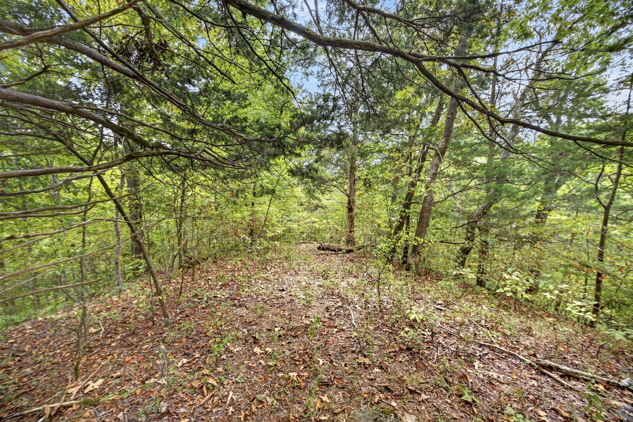0 Timber Ridge Lane