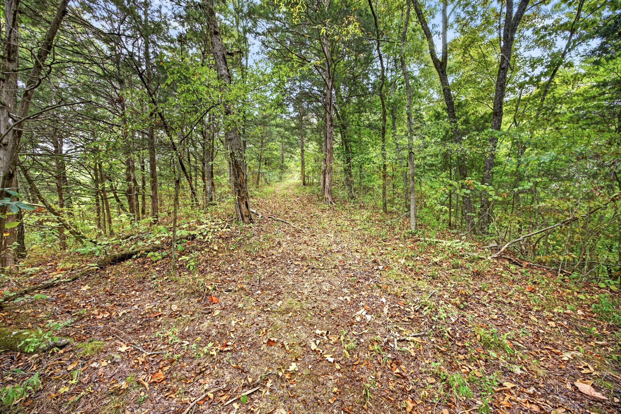 0 Timber Ridge Lane