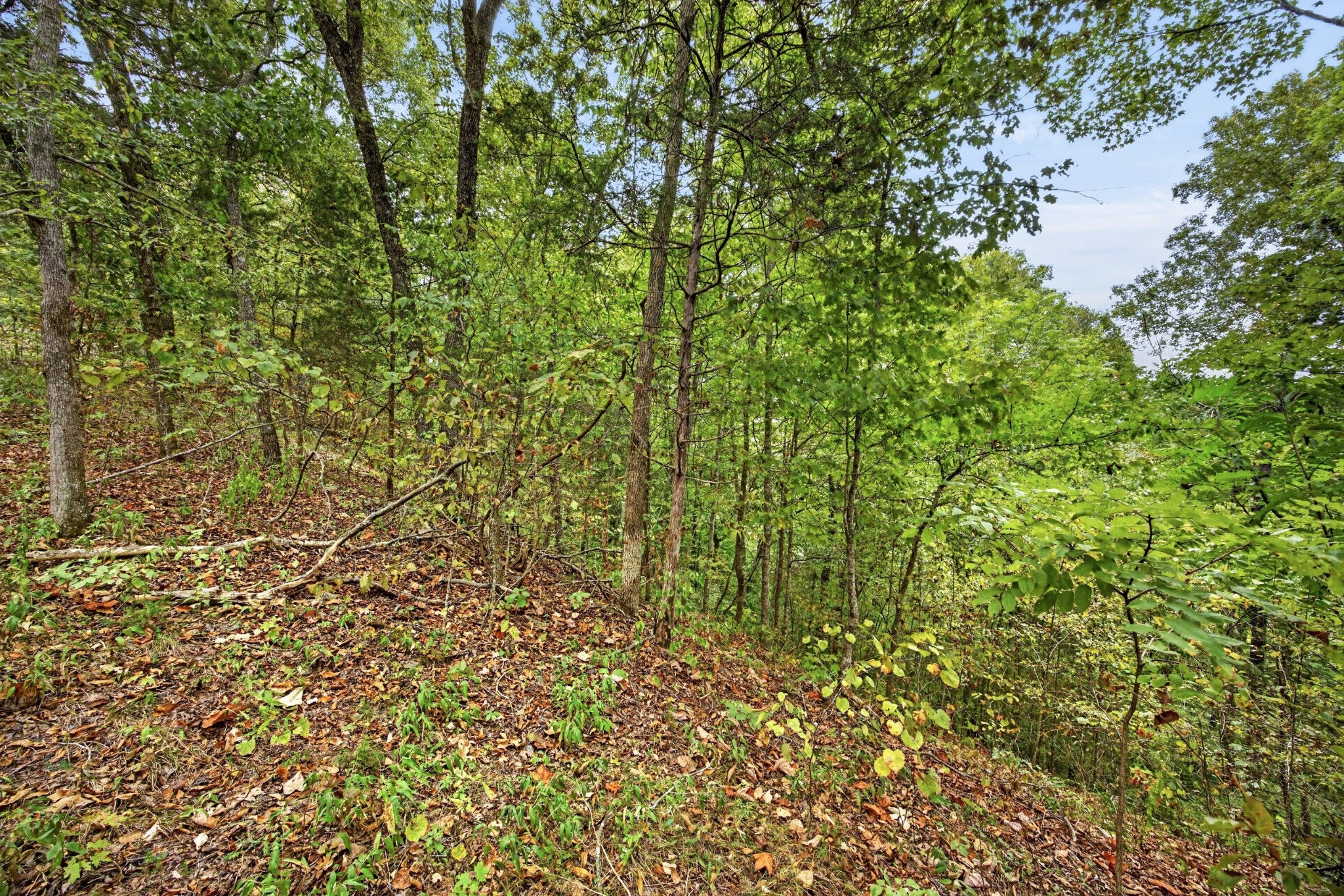 0 Timber Ridge Lane