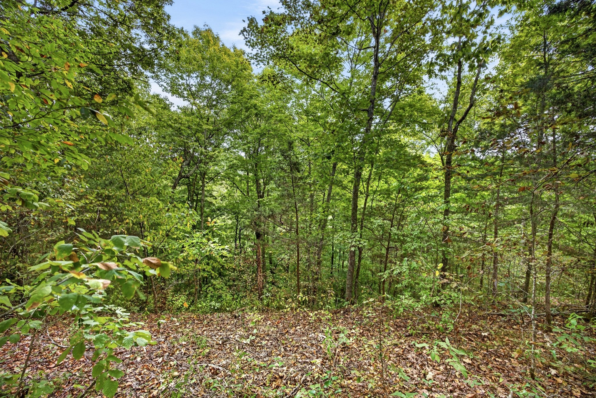 0 Timber Ridge Lane