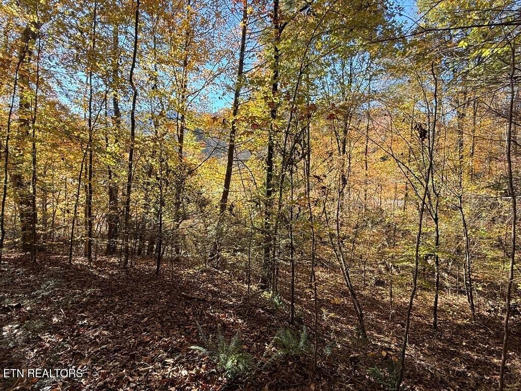 0 Old Chilhowee Rd