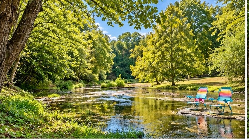285 Spring Creek Rd