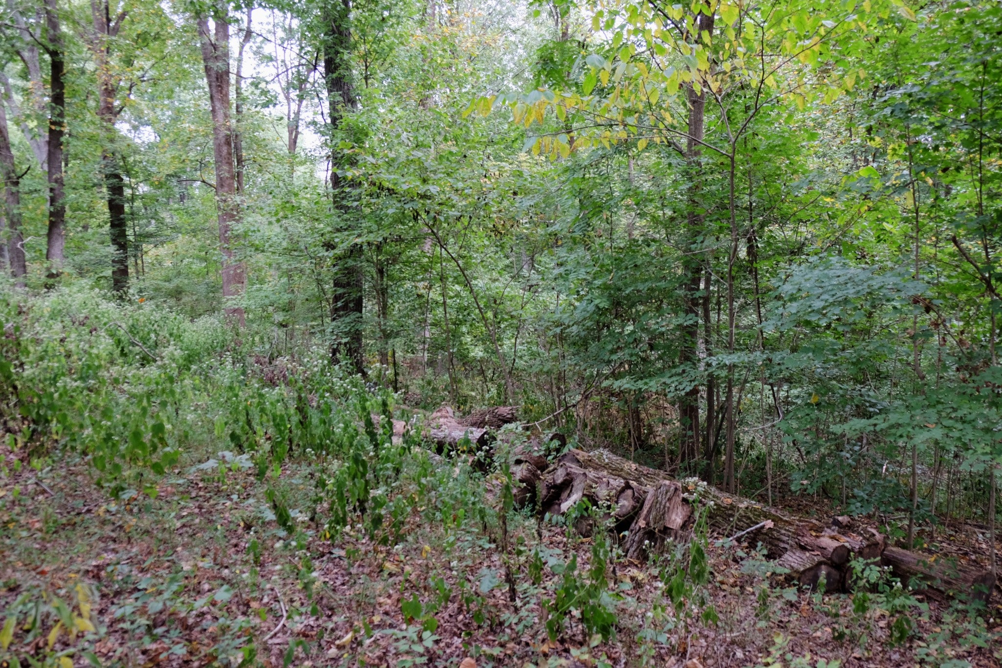 6108 Marrowbone Lake Rd