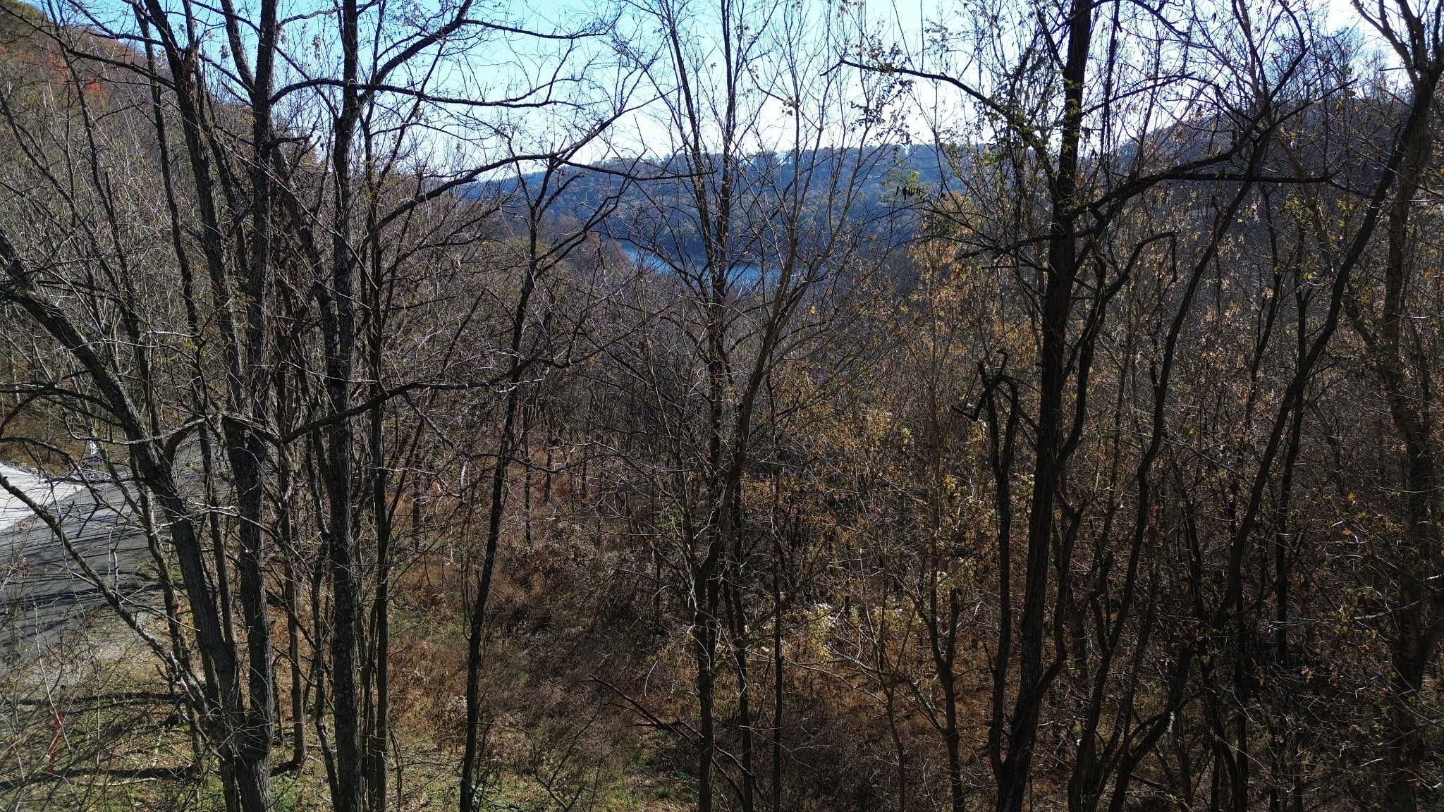 85 Blackberry Ridge Way