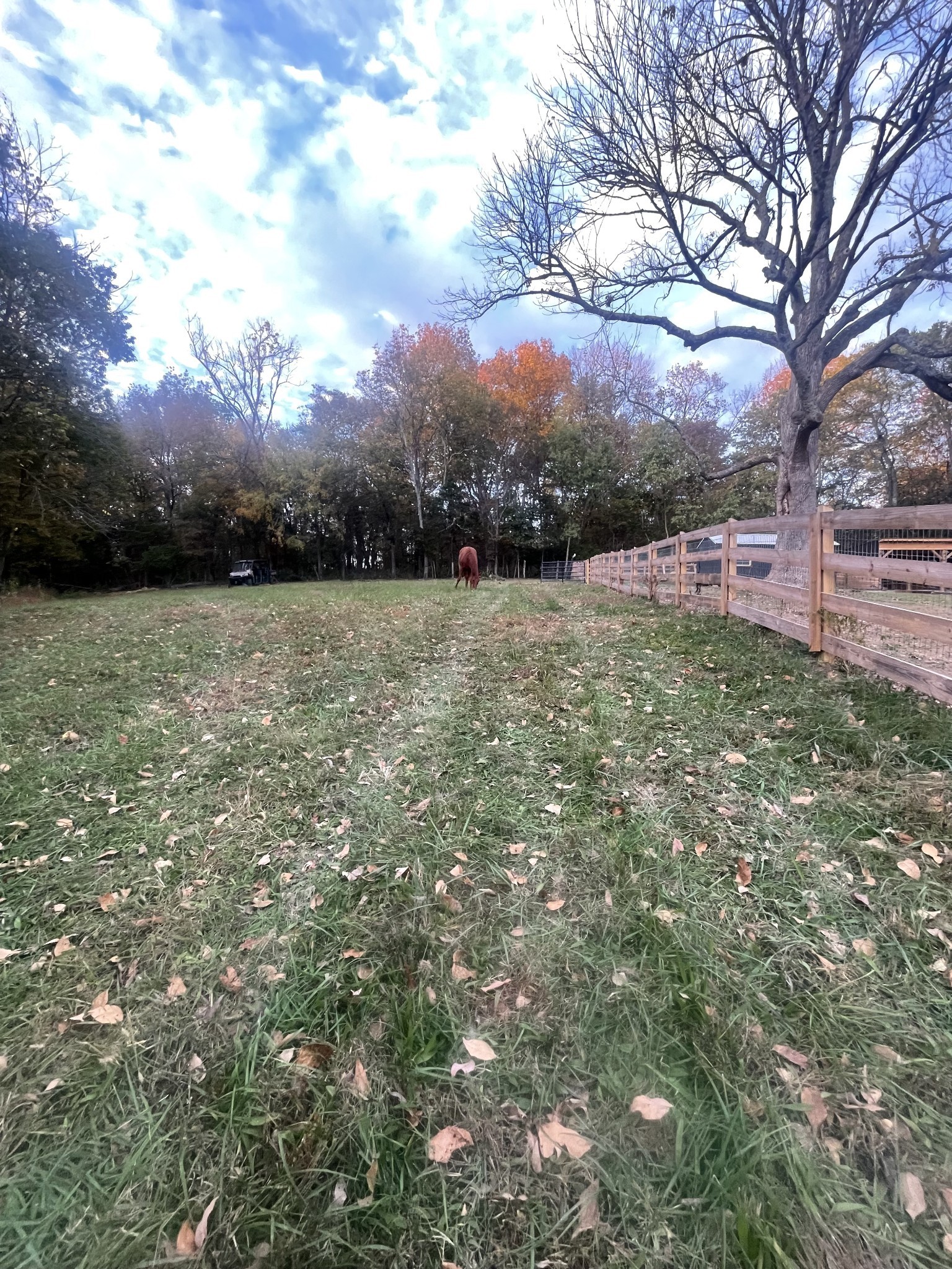 1019 Forestpointe