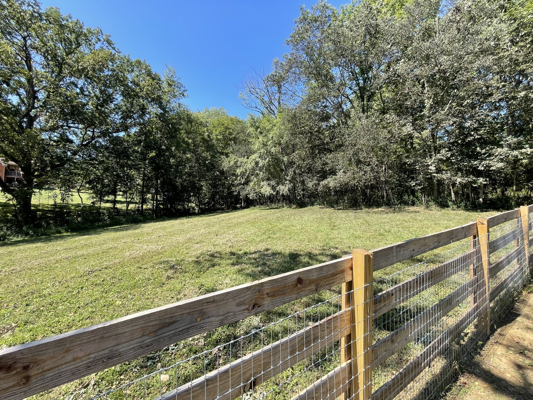 1019 Forestpointe
