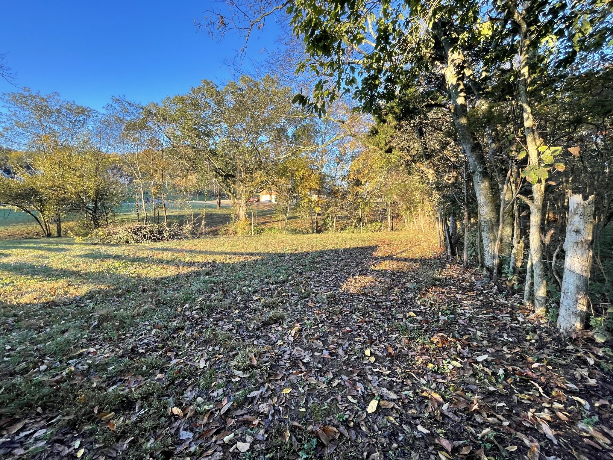1019 Forestpointe