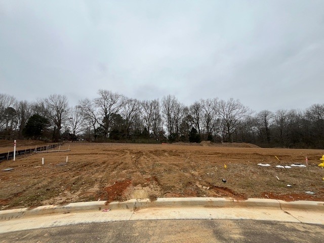 7313 Dutch River Circle