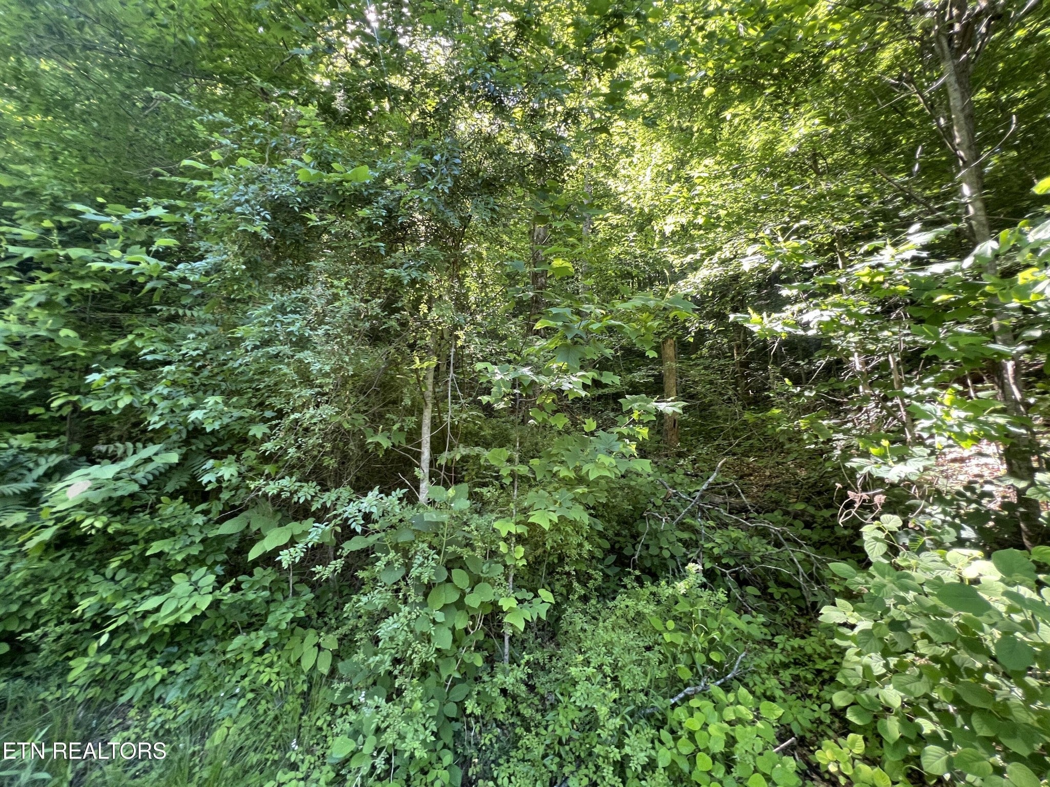 0 Apache Rd