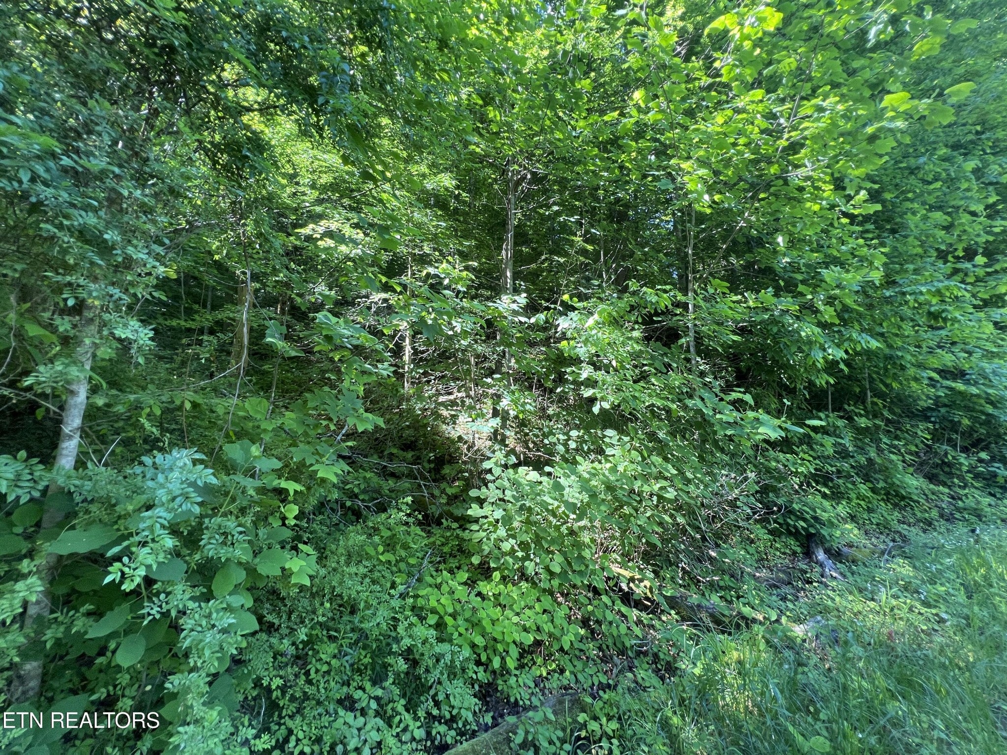 0 Apache Rd