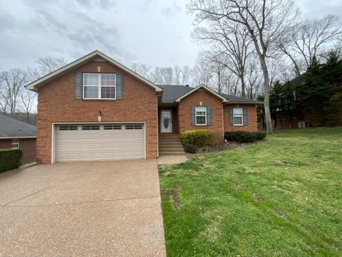 Photo of 521 Spring Hill Dr, Smyrna, TN 37167 (MLS # 3058893)