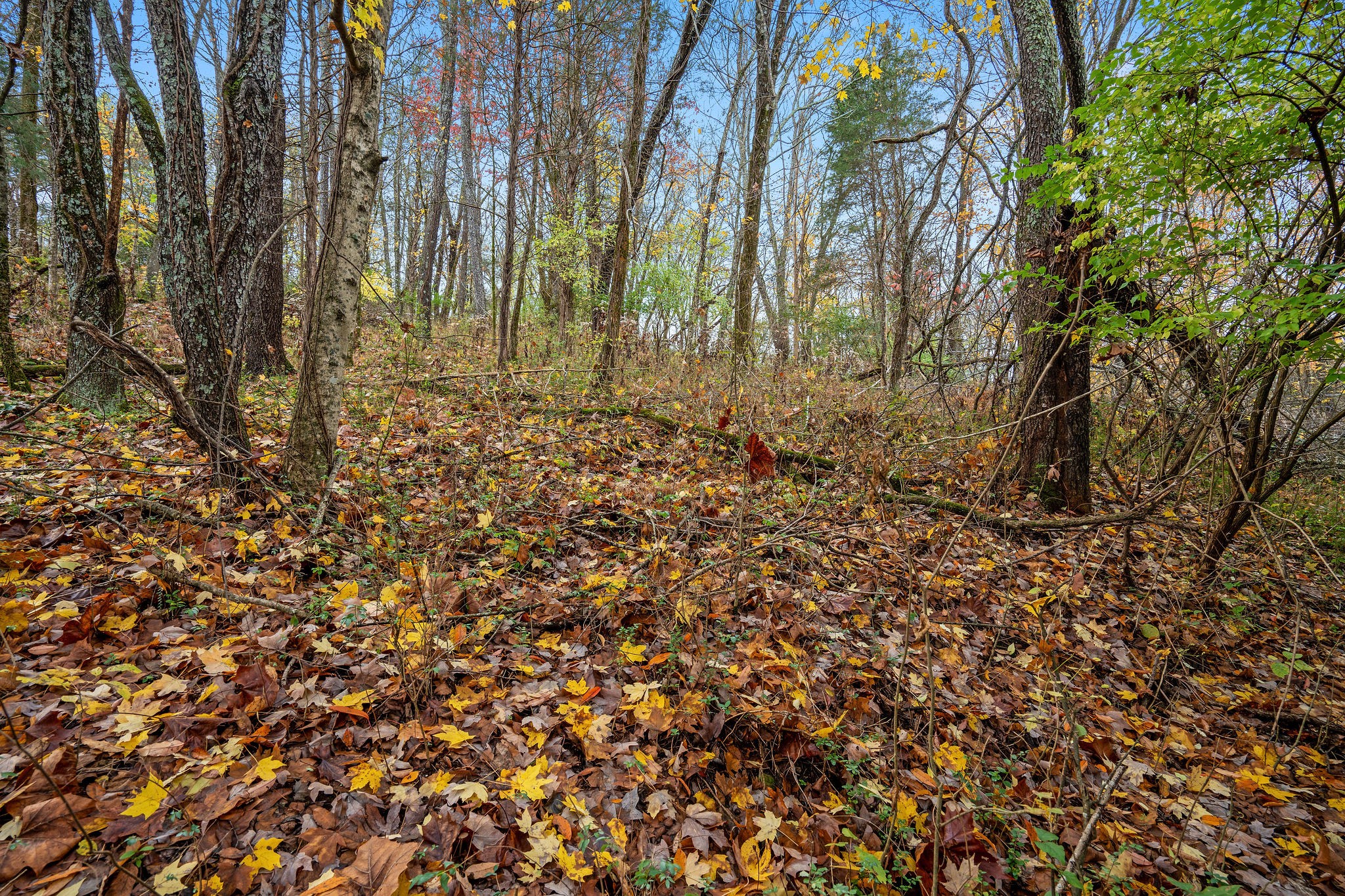 Middle Tennessee Properties 2 4087 Murfreesboro Rd