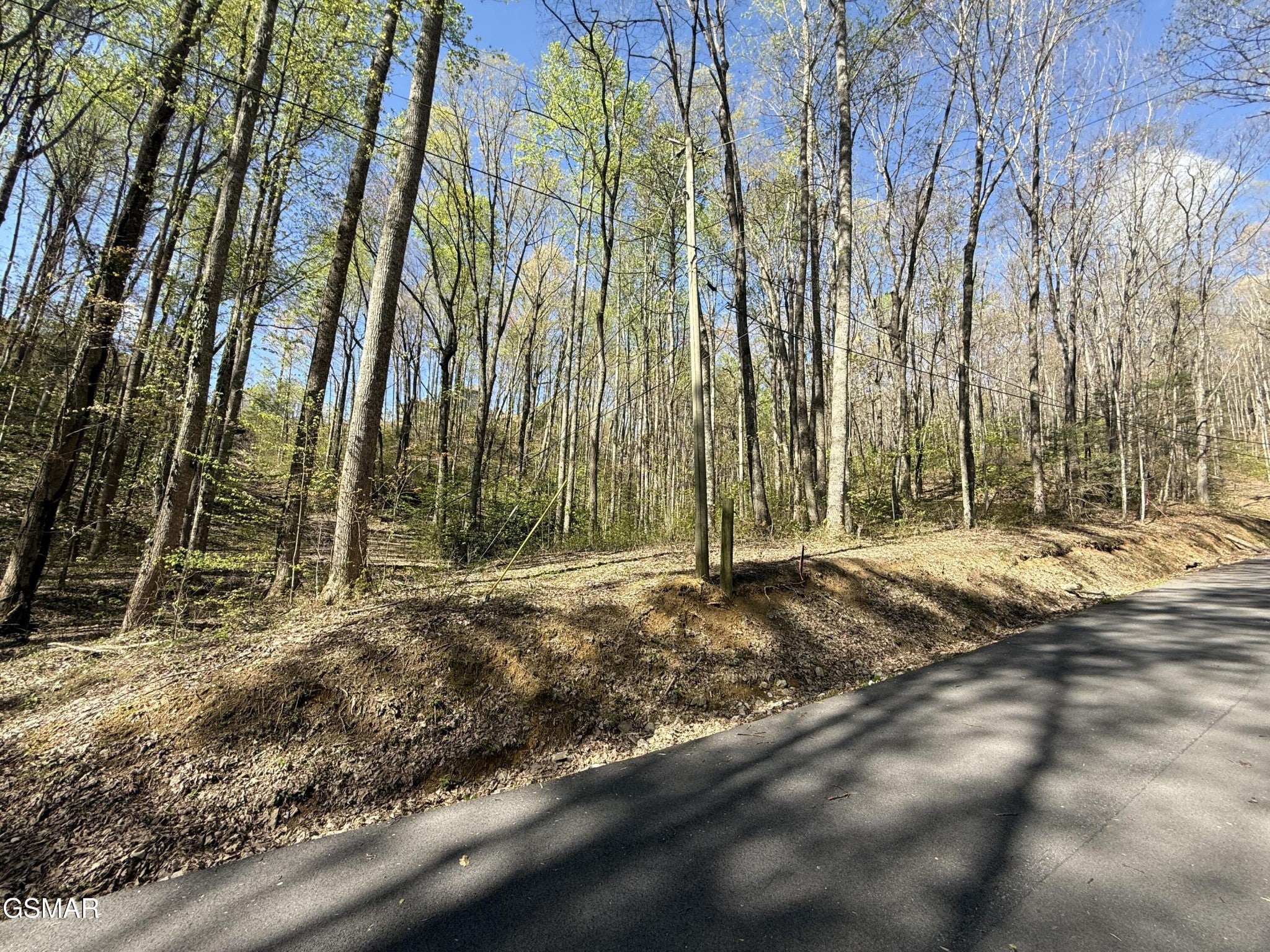 1440 Laurel Road