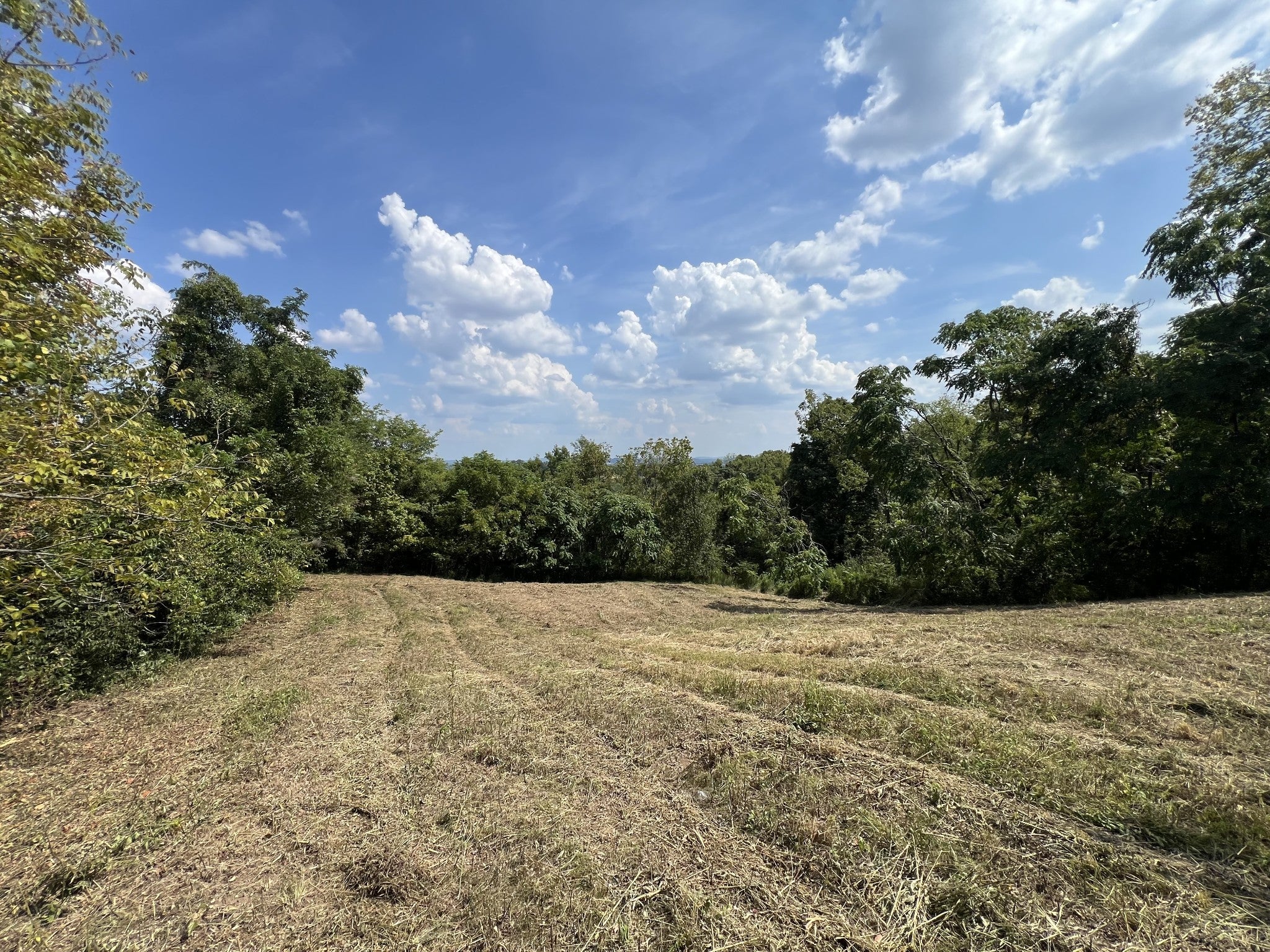 309 Bethlehem Rd