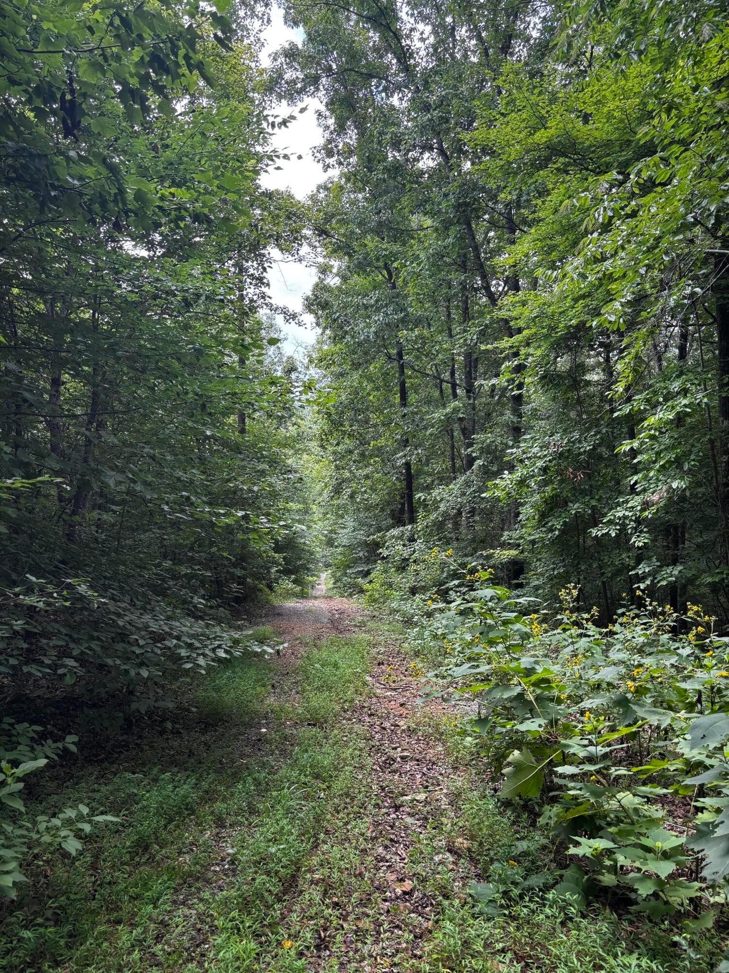0 Orme Mountain Road