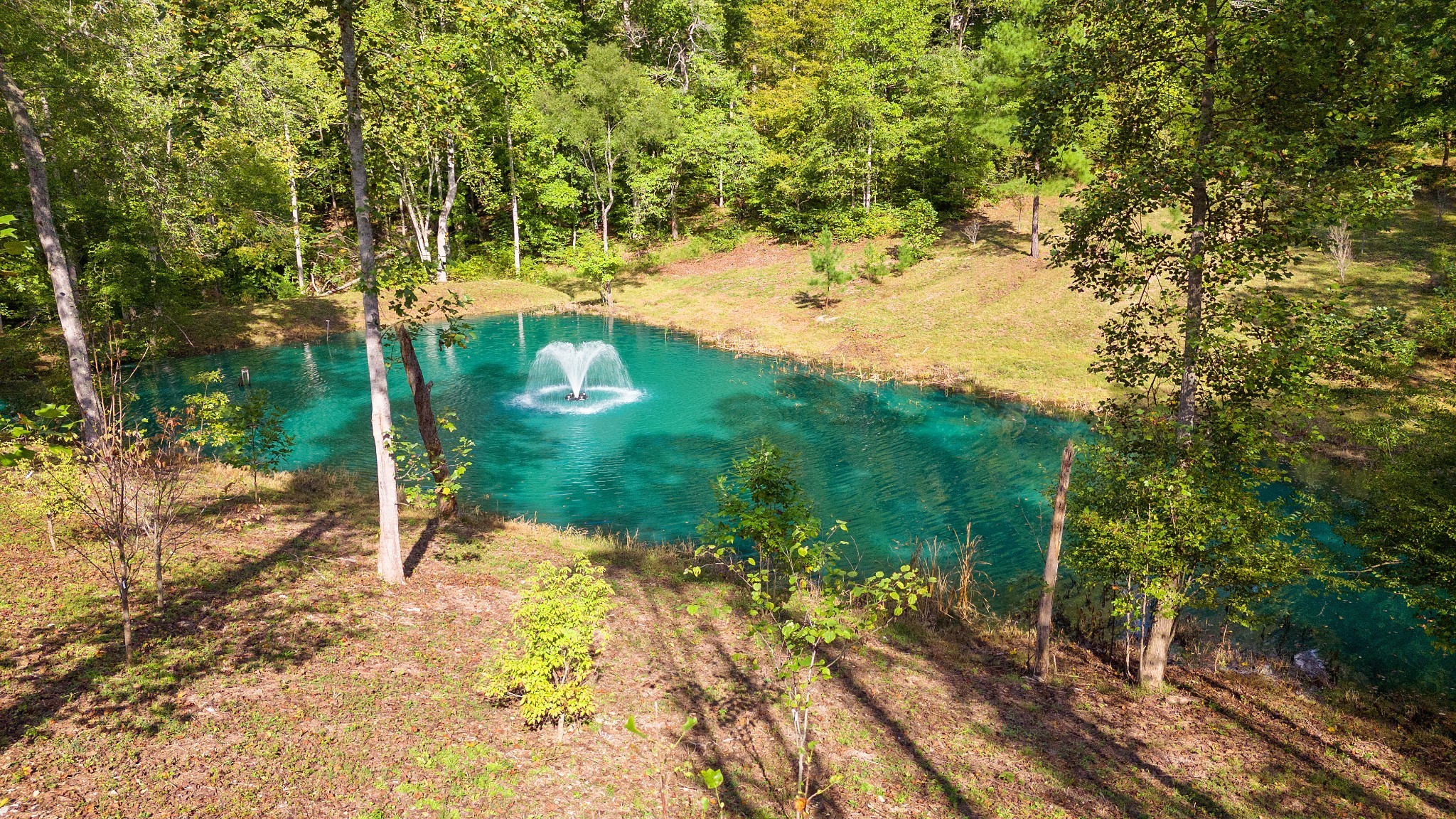 6057 Stone Cliff Lane