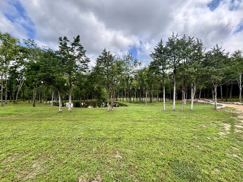 8598 Taliaferro Rd Eagleville TN 37060