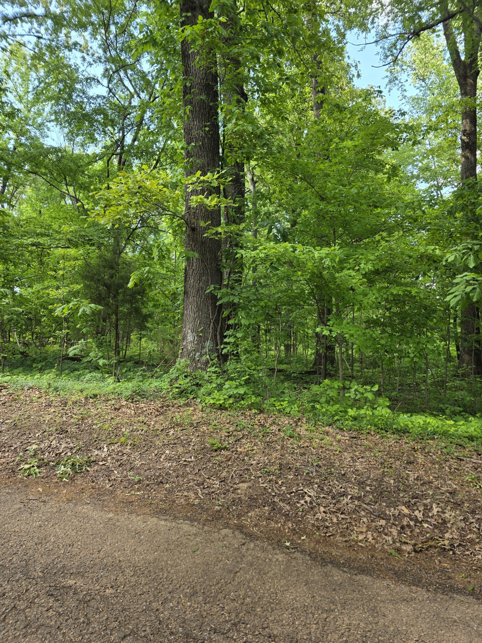 0 Arkadelphia Rd