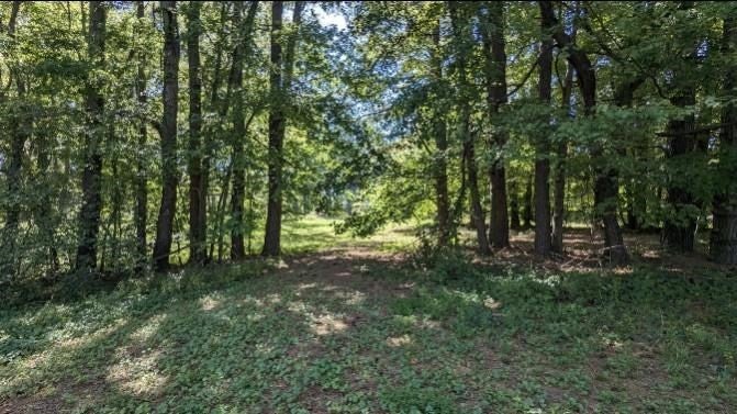 237 Hugh Hunter Rd