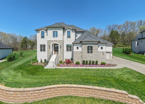 4708 Woodrow Pl Arrington TN 37014