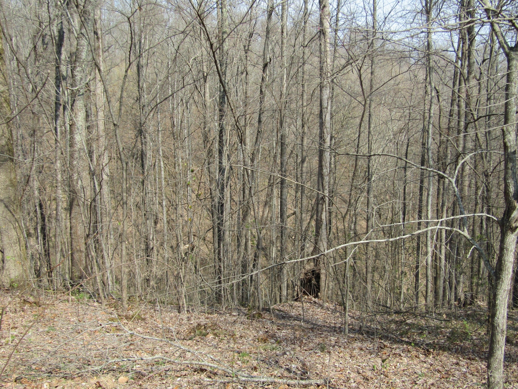 0 Hunters Landing Ln