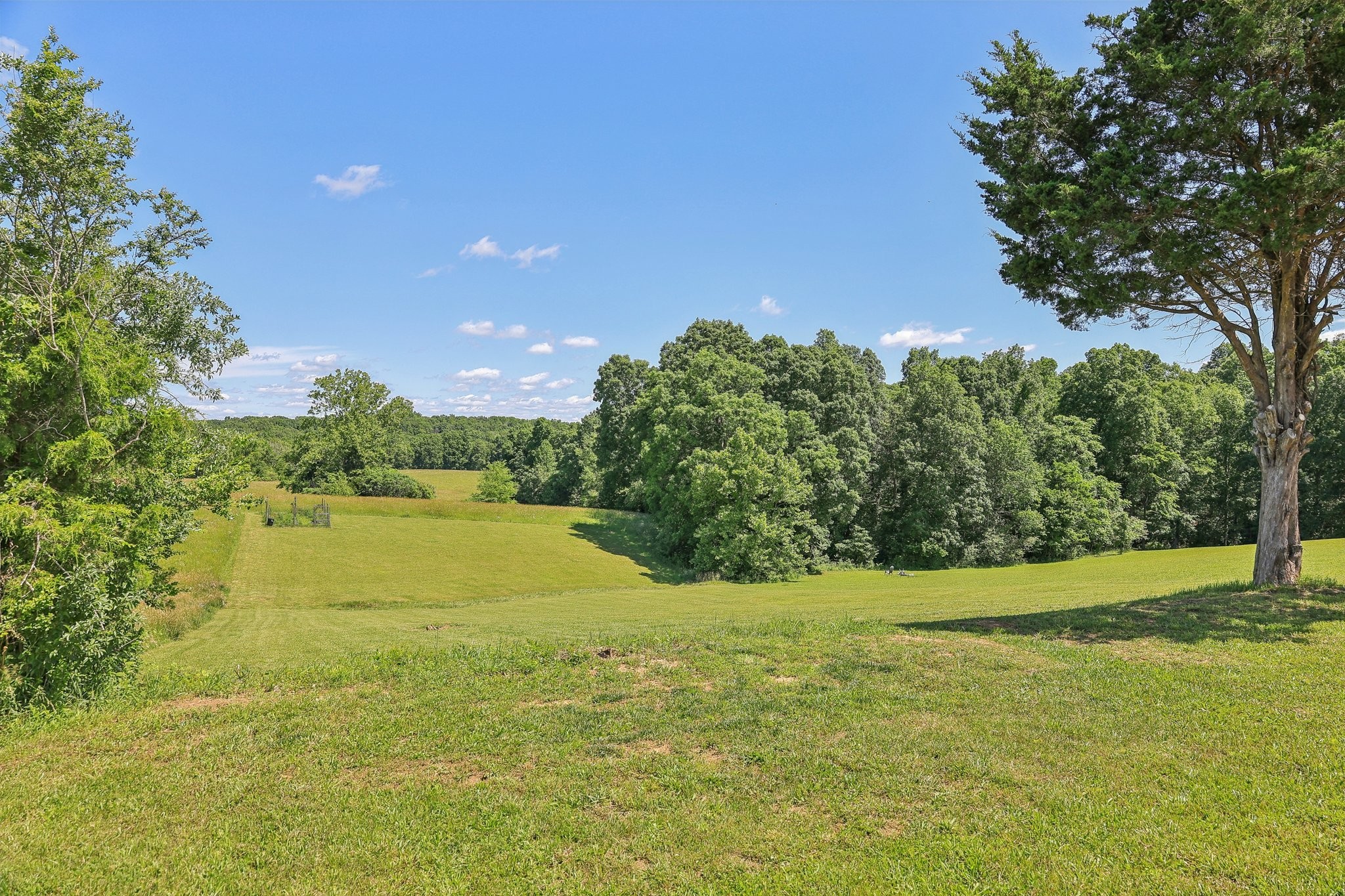 1219 Oak Grove Rd