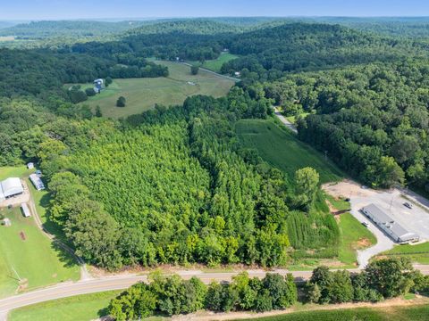 0 Highway 100 E Decaturville TN 38329