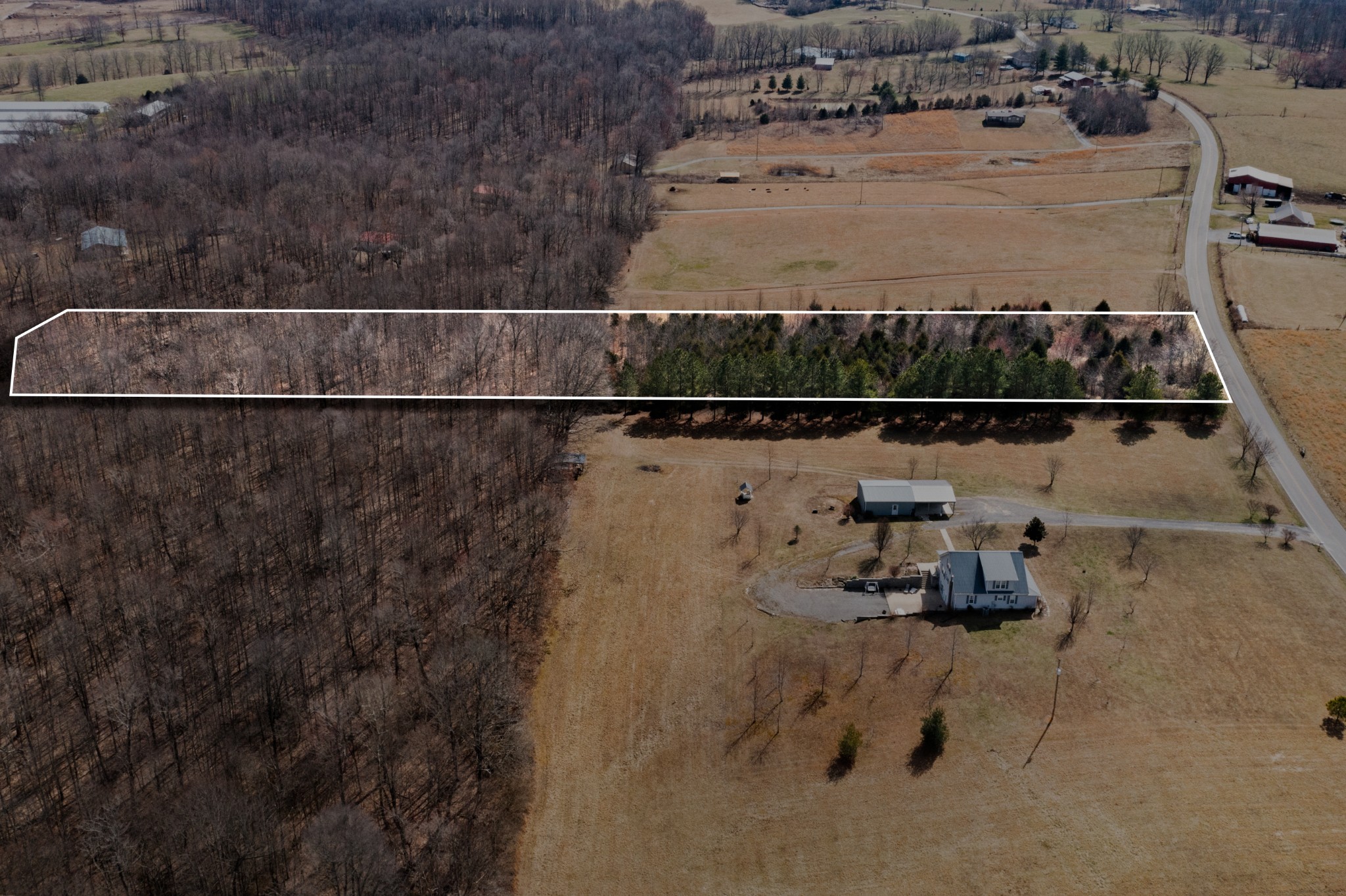 12 Nim Rd