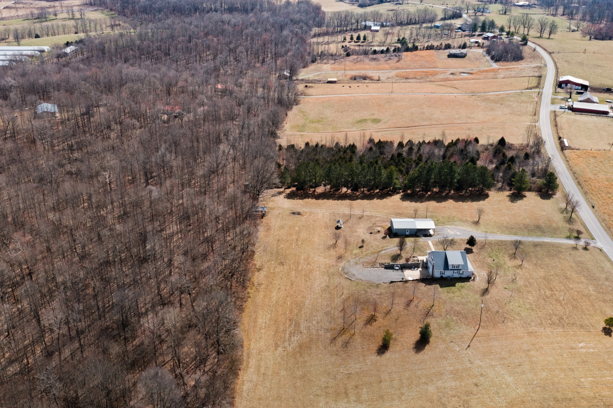 12 Nim Rd