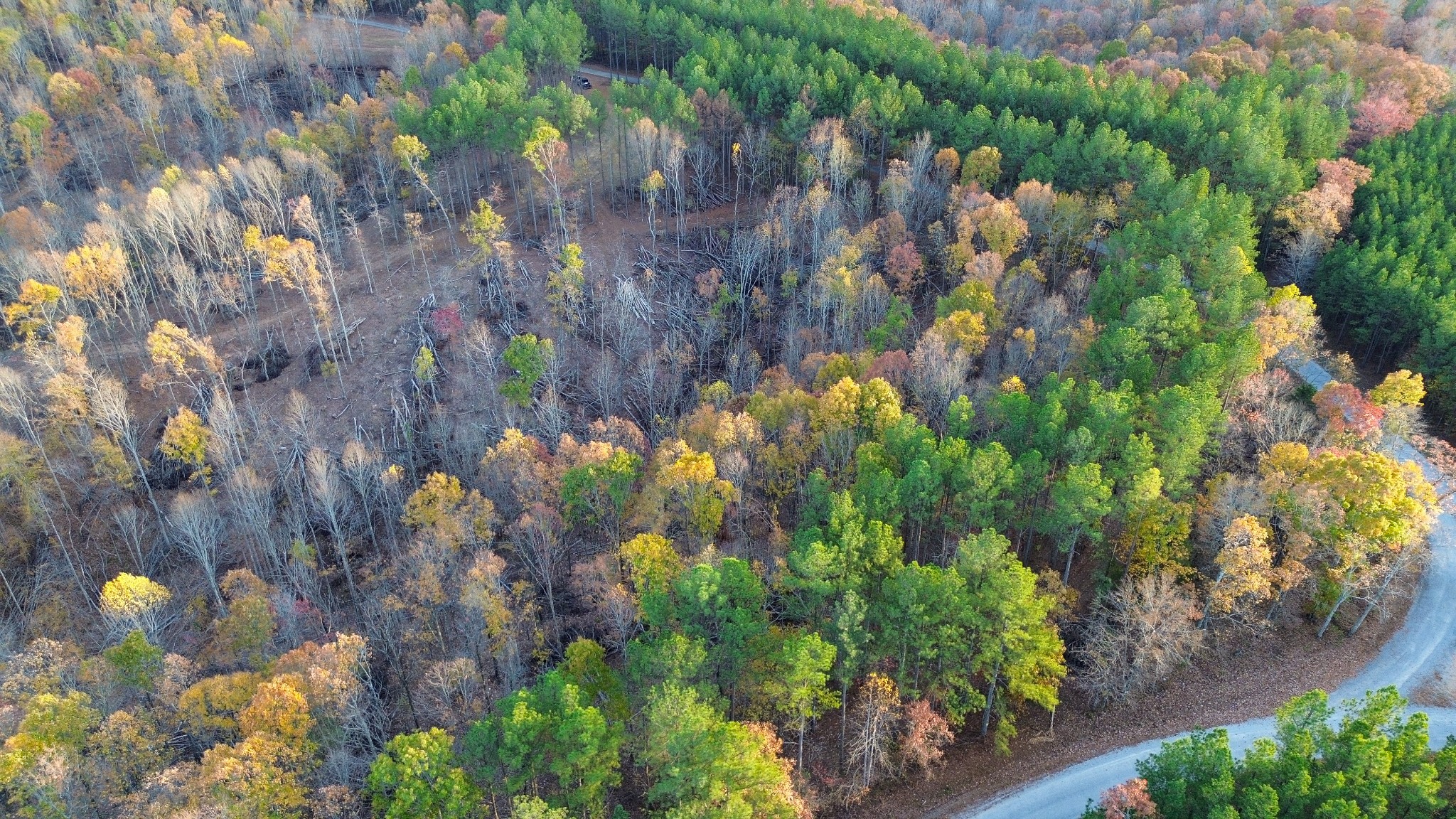 0 Sassafras Stand Ridge Rd