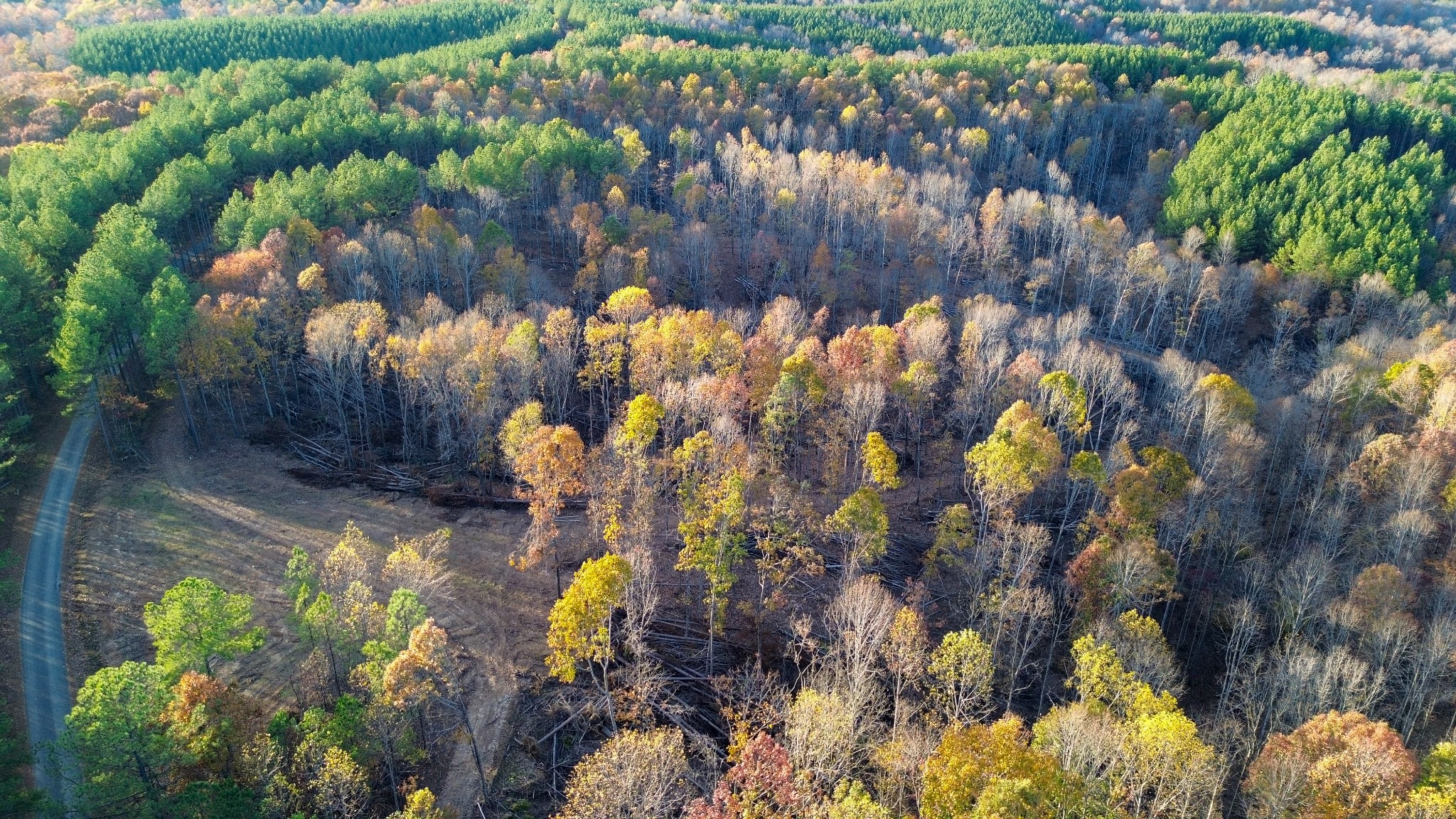 0 Sassafras Stand Ridge Rd