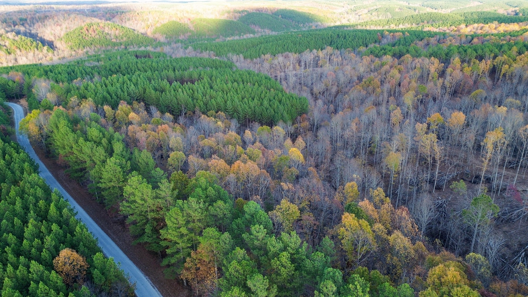 0 Sassafras Stand Ridge Rd