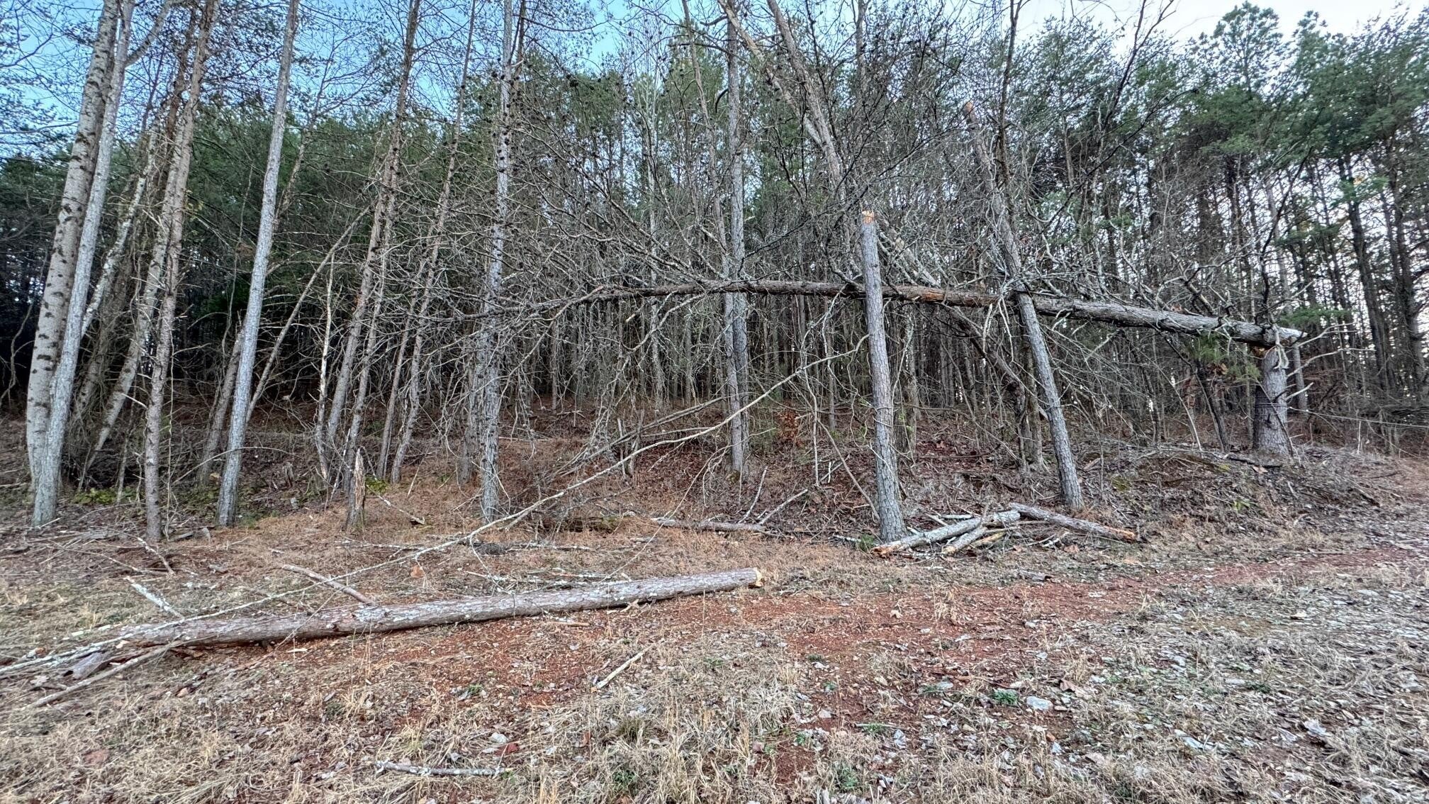 2100 Cottonport Ridge Road