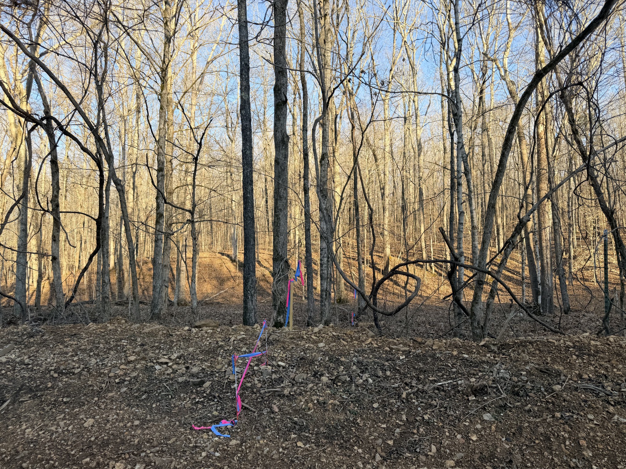 2 John Ross Hollow Rd