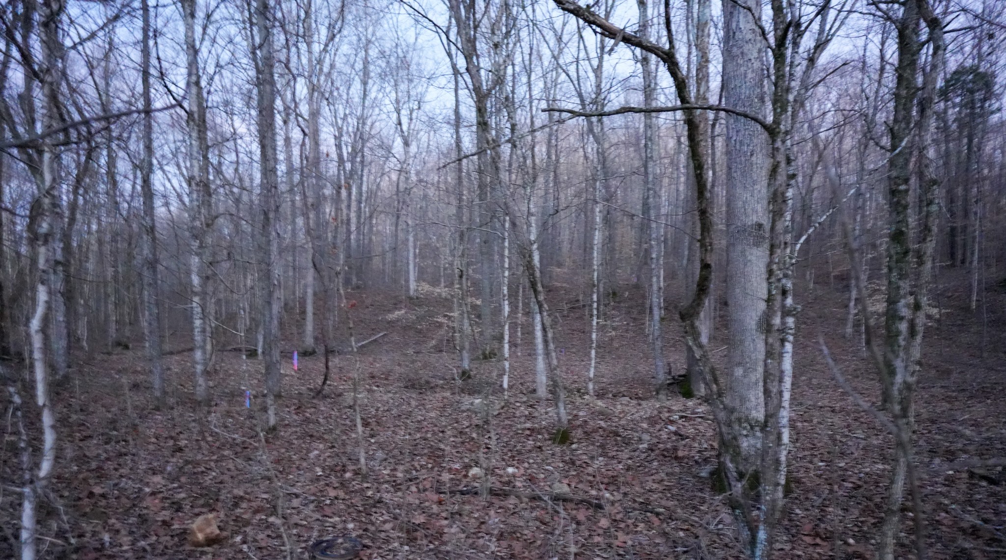 2 John Ross Hollow Rd