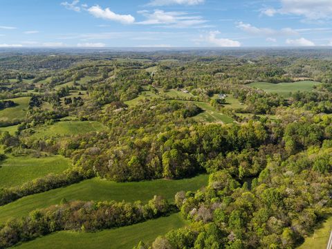 7 Old Apple Hill Rd Lynnville TN 38472
