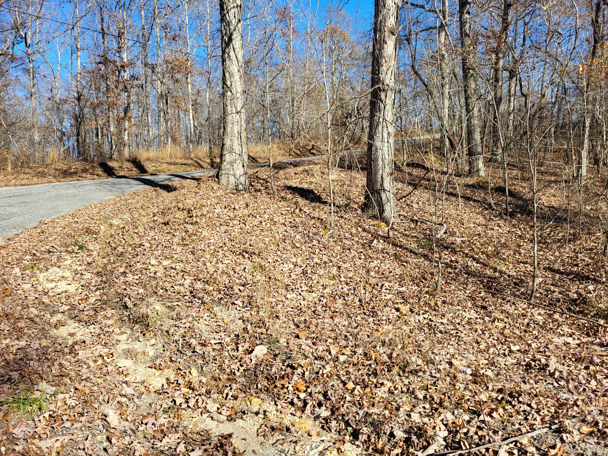 3 Peachwood Lane