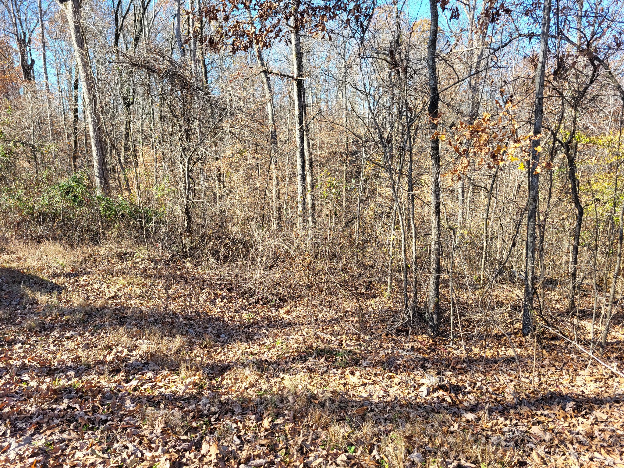 3 Peachwood Lane